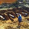 Wangaratta Horizontal Boring - Pic 8
