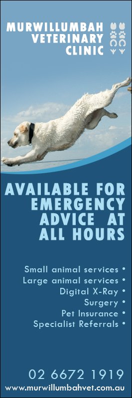 Murwillumbah Veterinary Clinic - Promotion