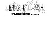 Big Flush Plumbing - logo