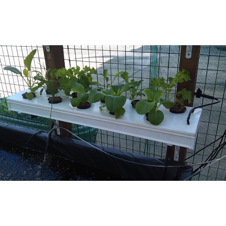 Aqua Gardening Hydroponics and Aquaponics - Hydroponics ...