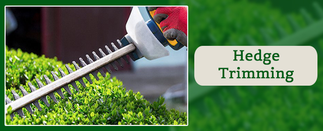Hobart Tree Chipping & Recycling - Promotion 3