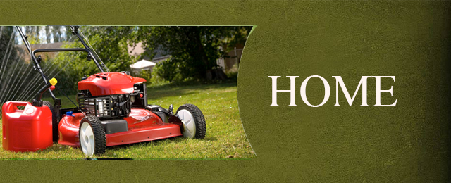 Amazing Grass Lawn Mowing - Promotion 1