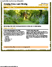 Lawn Cutting Services In Brookly