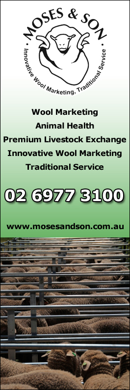 Moses & Son Wool Brokers - Promotion