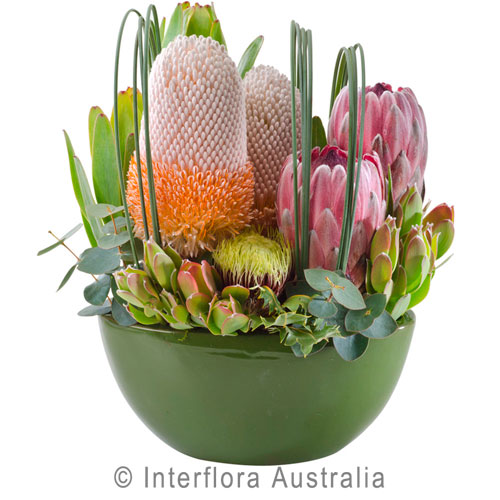 Charters Flowers Florists Shop 2 30 Gill St, Charters Towers QLD 4820 Yellow Pages®