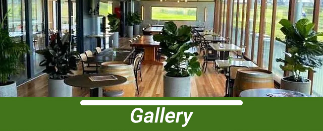 D&L Indoor Plant Hire & Garden Maintenance Pty Ltd - Promotion 3