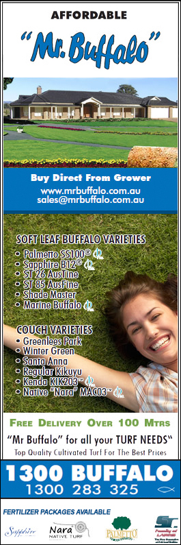 Affordable Mr Buffalo - Promotion