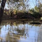 Burton Environmental - Pic 1