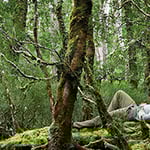 Russell Falls Riverfront Camping Pods - Pic 7