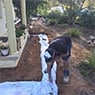 Water Tight Canberra Pty Ltd - Pic 2