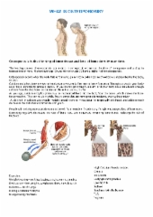 What Is Osteoporosis?