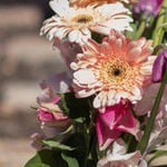 Macarthur Lady Funerals - Pic 10