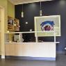 Veterinary Ophthalmic Referrals - Pic 7