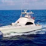 All The Gear No Idea Sportfishing - Pic 1