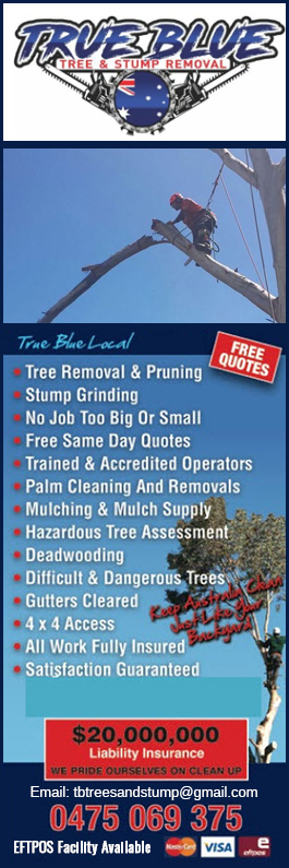 True Blue Tree & Stump Removal - Promotion