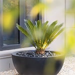 Supreme Green Landscaping - Pic 8
