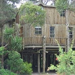 Crayfish Creek Caravan Park & Holiday Cabins - Pic 1