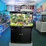 Fishtank Aquarium - Pic 3