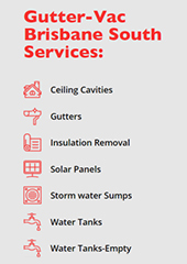 Gutter Vac Services