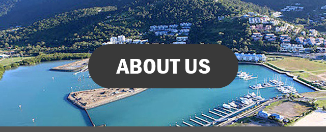Locus Surveys - Promotion 2