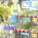 Allora Gardens Nursery - Pic 4