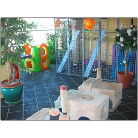 all breeds dog kennel