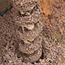 Soil Test Express - Pic 7