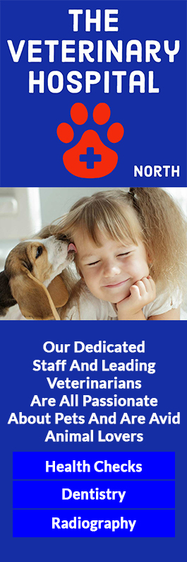 The Veterinary Hospital North - Promotion