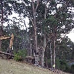 Hobart Tree Chipping & Recycling - Pic 1