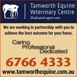 Tamworth Equine Veterinary Centre - Promotion