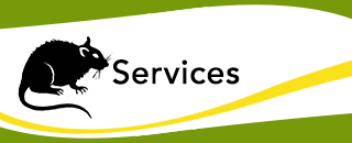 Perkins Exterminators - Promotion 3