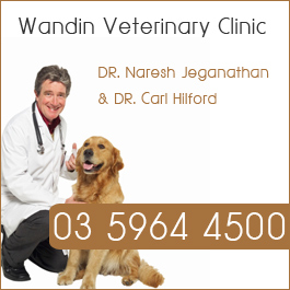 Wandin Veterinary Clinic - Promotion