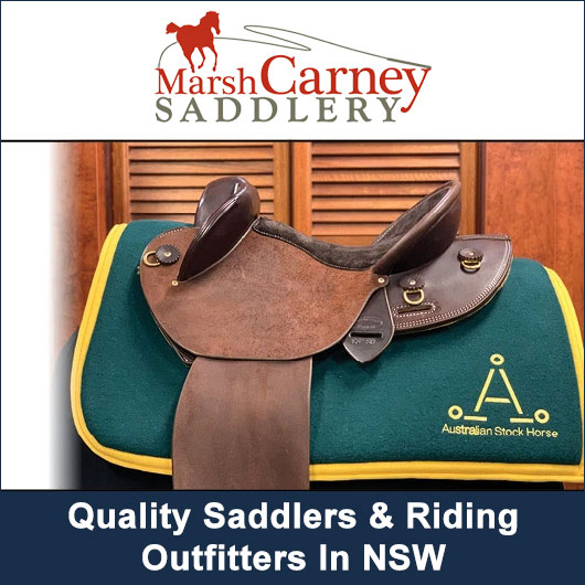 Marsh Carney Saddlery - Promotion