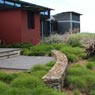 DP Landscaping & Design - Pic 9
