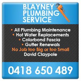 Blayney Plumbing Service - Promotion