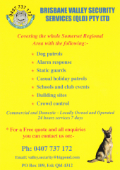 View PDF