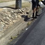 Ashpatch - Pic 4