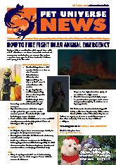 Animal Emergency