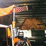 Marshall Cranes - Pic 6