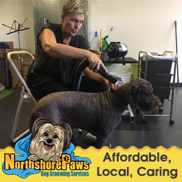 Dog grooming north shore sydney