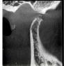 Clayray Dental Radiology - Pic 1