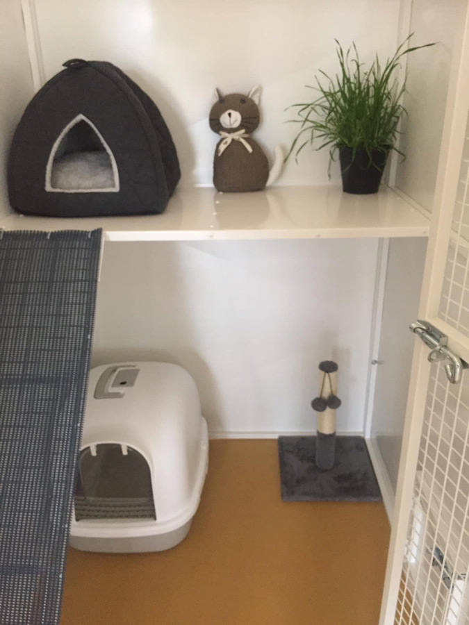 Ariah's Cat Haven Cattery 226 Woorlong Ave Red Cliffs