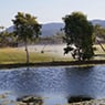 Great Northern Turf - Pic 7