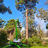 Phil's Tree Service - Pic 7