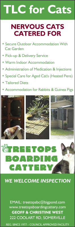Treetops Boarding Cattery - Promotion