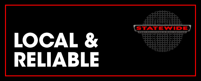 Statewide Pest Solutions & Bird Netting - Promotion 3