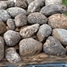 Apollo Landscaping Supplies - Pic 6