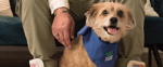 Dardanup Veterinary Centre - Pic 3
