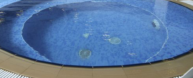 South Coast Concrete Pools & Spas - Promotion 2