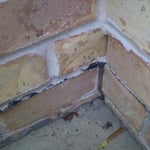 Natraspray Pest Control - Pic 8